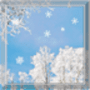 Download Snow Live Wallpaper