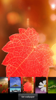 Screenshot of the application Spring live wallpaper lock - #5