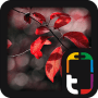 Download MYCOLORSCREEN Beautiful Nature Theme