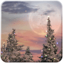 Download Snowfall Free Live Wallpaper