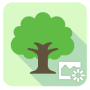 Download ASUS DayScene live wallpaper