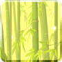 Download Bamboo Forest Free L.Wallpaper