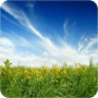 Download Beautiful Nature Wallpapers #1