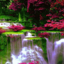 Download Waterfall Flowers LWP