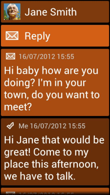 Screenshot of the application BL Orange Theme - #3
