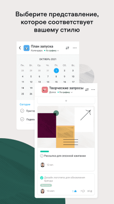 Screenshot of the application Asana: organize team projects - #3
