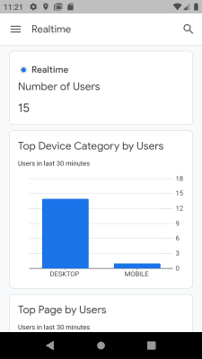 Screenshot of the application Google Analytics - #2