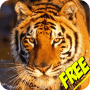 Download Animal sounds for children