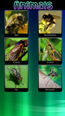 Screenshot of the application Animal sounds for children - #4