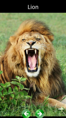 Screenshot of the application Animal sounds for children - #6