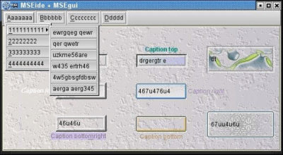 Screenshot of the application MSEide+MSEgui - #6