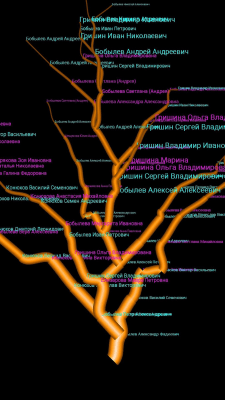 Screenshot of the application Genealogical family tree - #7