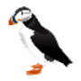 Download Bird Color Book