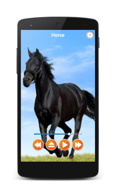 Screenshot of the application Animal Sounds Free Offline - #4