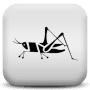 Download Crickets