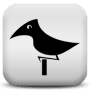 Download Bird Songs