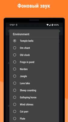 Screenshot of the application Mindroid - #8