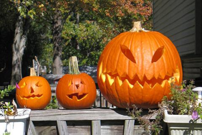 Screenshot of the application Pumpkin Carving Ideas - #2