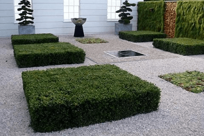 Screenshot of the application Landscaping Design Ideas - #9
