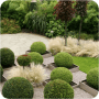 Download Garden Design Ideas