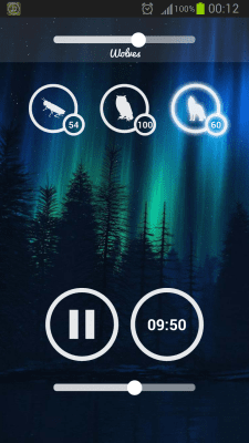 Screenshot of the application Forest Sounds - #3