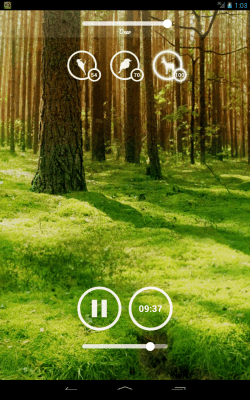 Screenshot of the application Forest Sounds - #10
