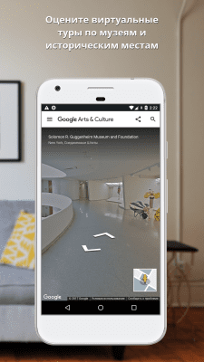 Screenshot of the application Google Arts & Culture - #6