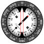 Download Compass PRO