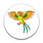 Download Talking Gold Parrot