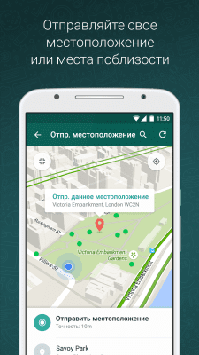 Screenshot of the application WhatsApp Android - #5