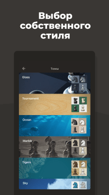 Screenshot of the application Chess from Chess.com - #8