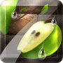 Download Fruit Slice