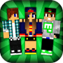 Download Skin World