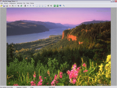 Screenshot of the application Altarsoft Image Viewer - #2