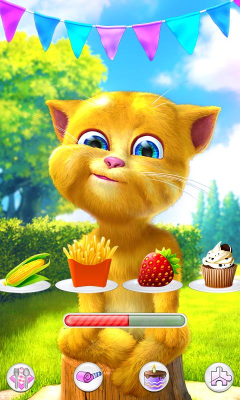 Screenshot of the application Talking Ginger 2 - #3