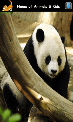 Screenshot of the application Learning Animal Sounds - #2
