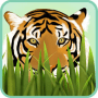 Download Petting Zoo