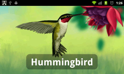 Screenshot of the application Petting Zoo - #2