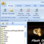 Download Flash Decompiler Trillix