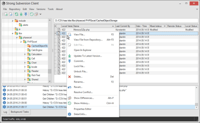 Screenshot of the application StrongSVN - #2