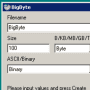 Download BigByte