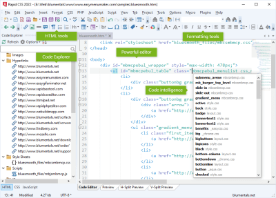 Screenshot of the application Rapid CSS - #4