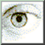 Download AhaView