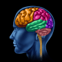 Download Brain Age Test