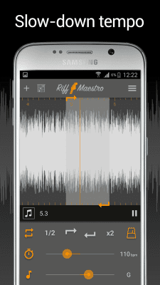 Screenshot of the application Riff Maestro - #2