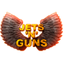 Download Jets’n’Guns