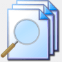 Download EF Duplicate Files Manager