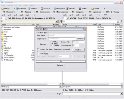 Screenshot of the application File Master - #3