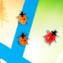 Download Ladybug on Desktop