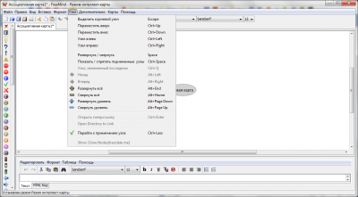 Screenshot of the application FreeMind - #2